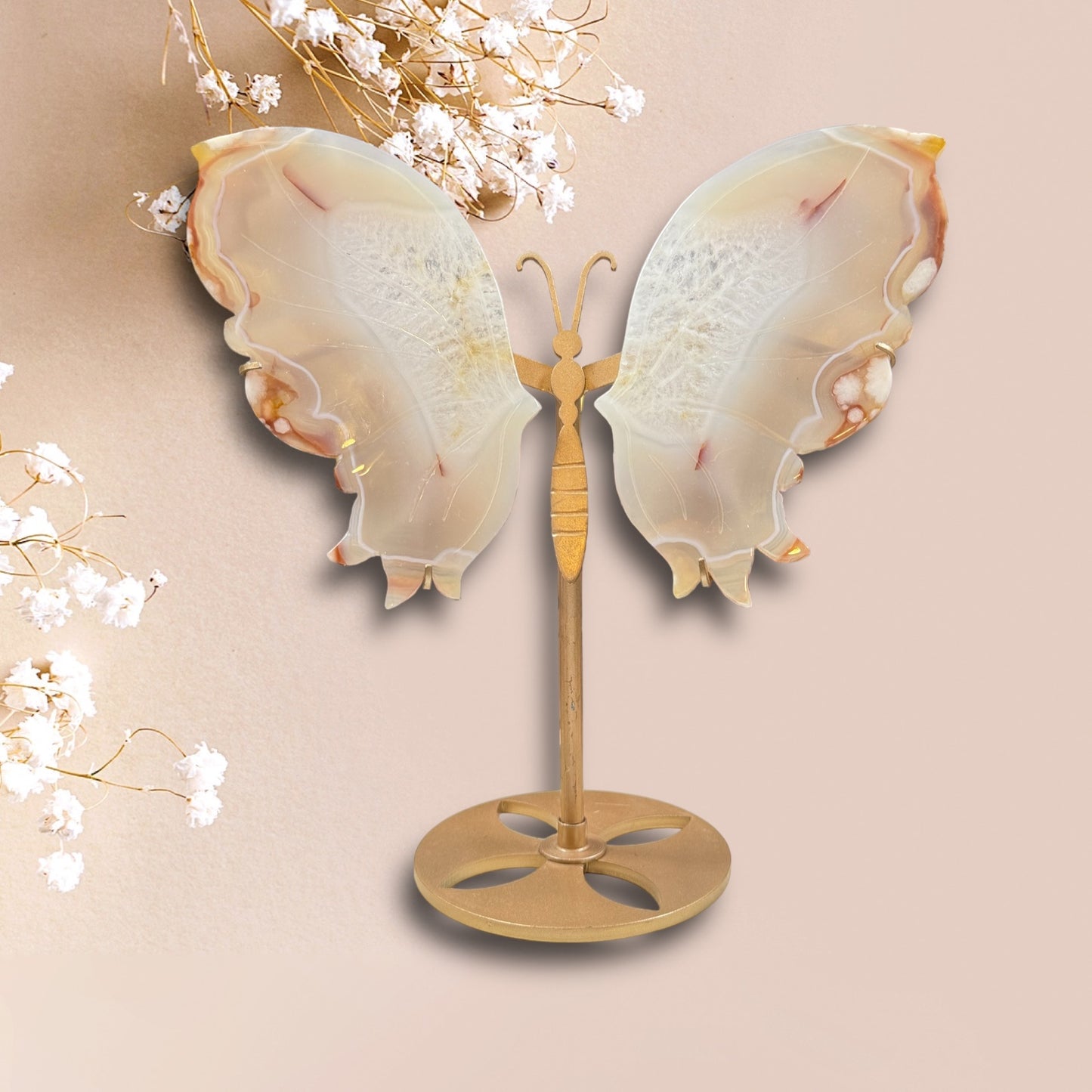 Blumenachat Schmetterling auf Ständer
