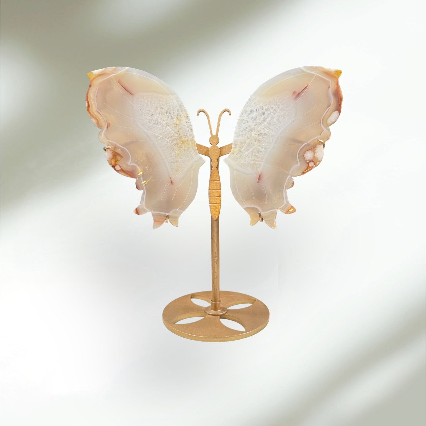 Blumenachat Schmetterling auf Ständer