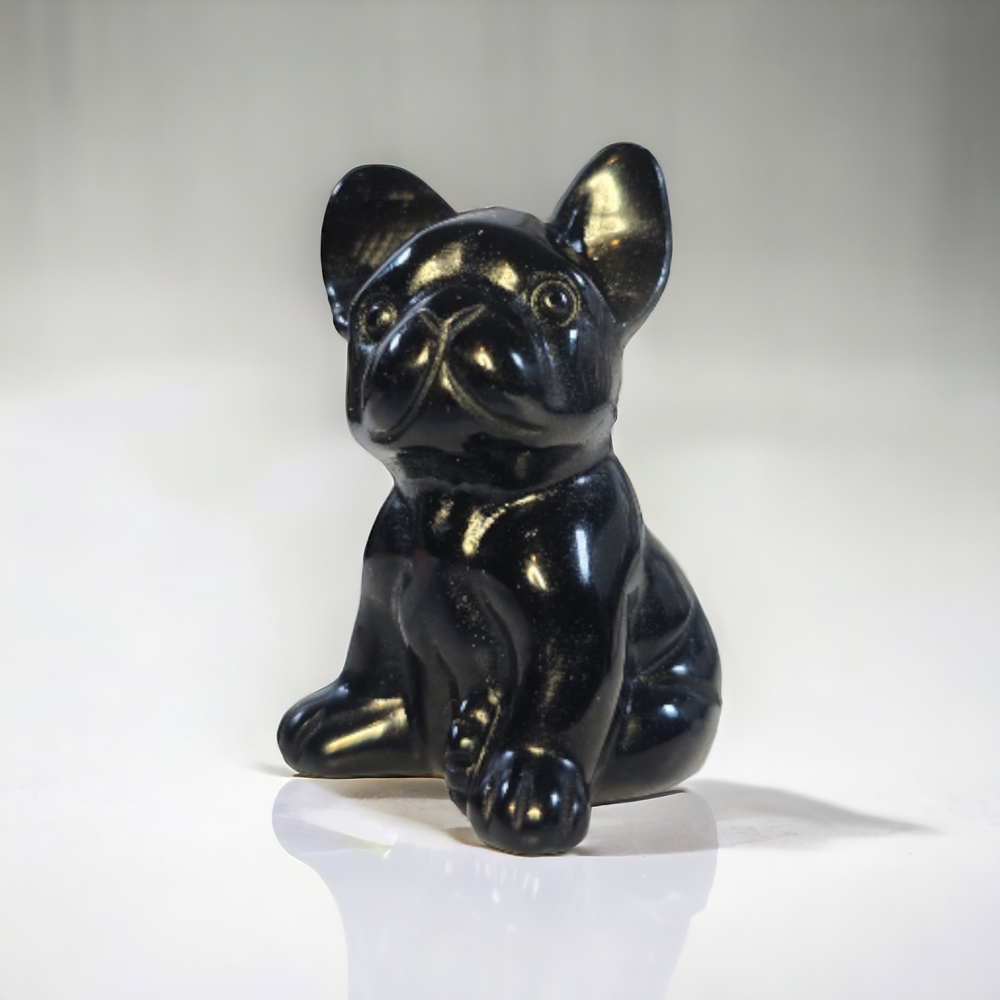 Schwarzer Obsidian Frenchie Hund