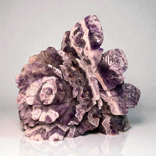 Dream Amethyst Rose groß