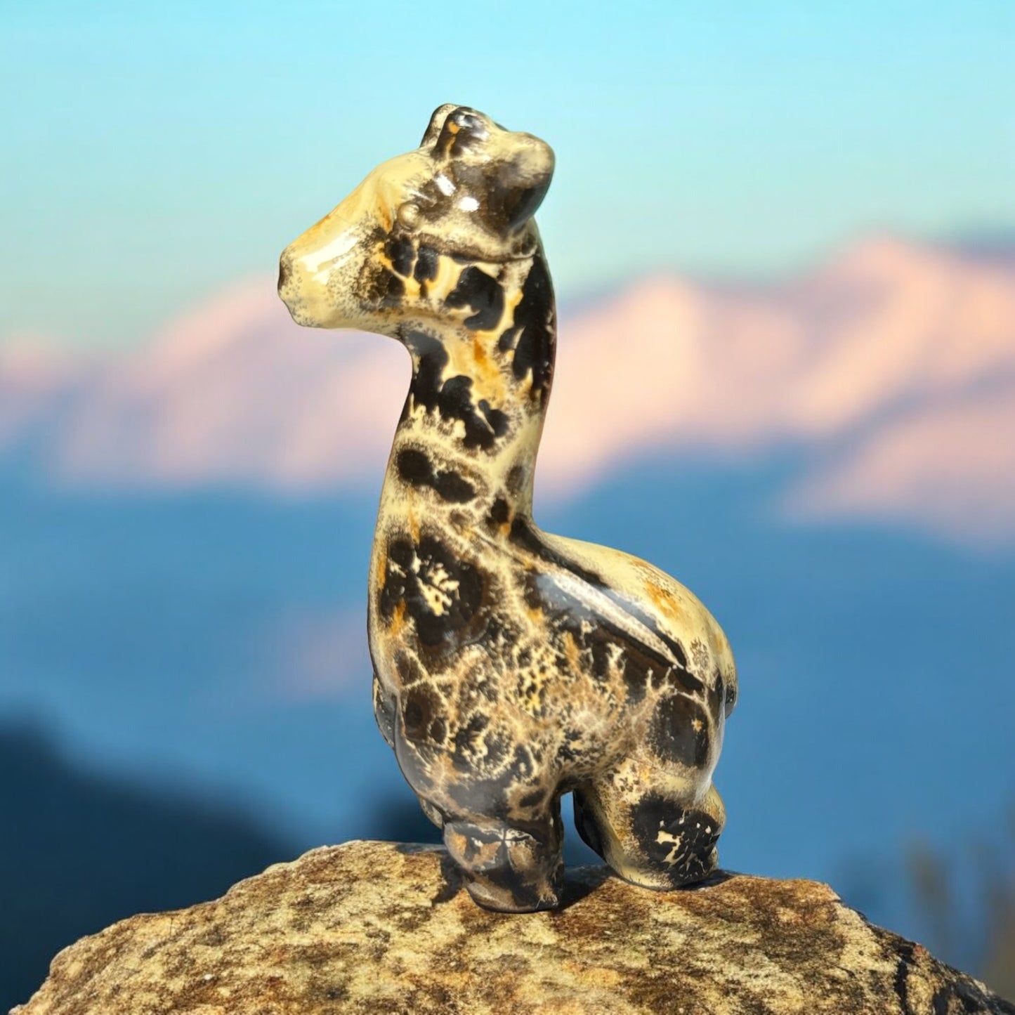 Picture Jaspis Giraffe