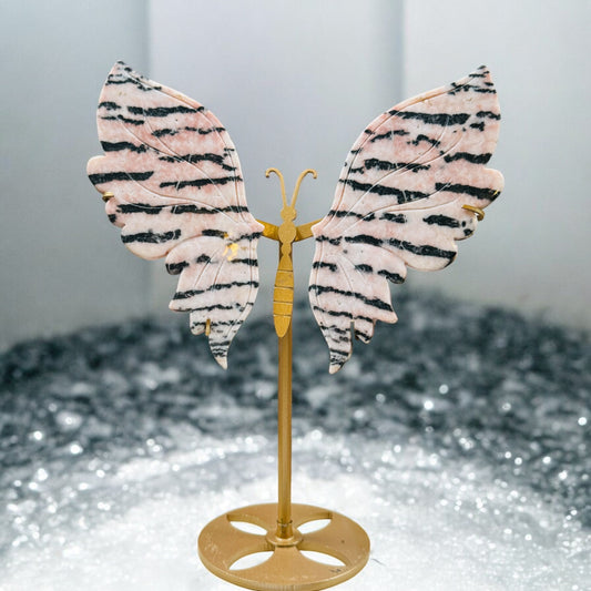Zebra Calcite Schmetterling auf Ständer