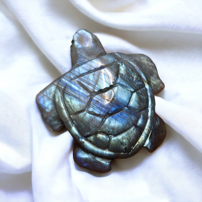Labradorite Schildkröte