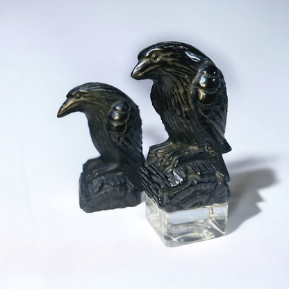 Schwarzer Obsidian Rabe