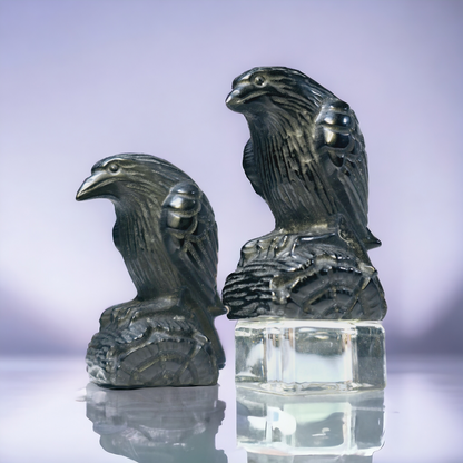 Schwarzer Obsidian Rabe